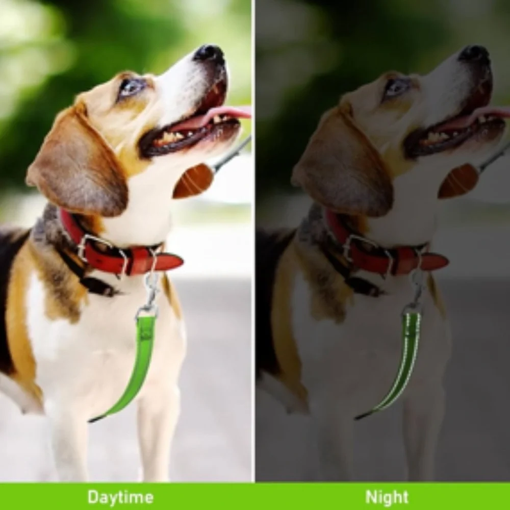 NWT Green Reflective Adjustable Nylon Dog Safety Collar Clip